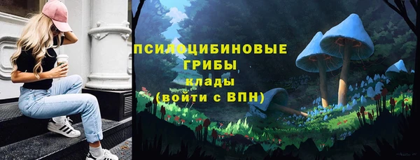 а пвп мука Абаза